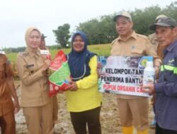 Pemkab Lahat Gelar Panen Padi Bersama sebagai Upaya Perkuat Ketahanan Pangan Daerah