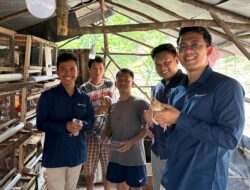 Didukung Bukit Asam (PTBA), Usaha Ternak Puyuh Ciptakan Lapangan Kerja Baru di Desa Seleman