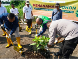 Sinergi Bukit Asam (PTBA) dan Masyarakat Hijaukan Lingkungan dalam Aksi Penanaman Pohon