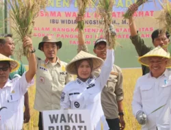 Wabup Lahat Hadiri Panen Raya Padi di Desa Gedung Agung, Dukung Swasembada Pangan dan Pencegahan Stunting