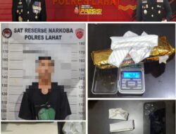 4 Paket kering daun ganja dan 1 (satu ) tersangka diamankan Satres Narkoba Polres Lahat