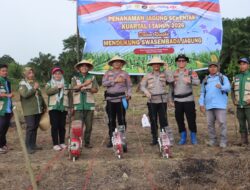 Penanaman jagung serentak pada kuartal pertama tahun 2026 Polres Lahat