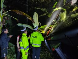 Bus PO Anugerah Masuk Jurang di Lahat, Laporan Darurat 110 Selamatkan Penumpang