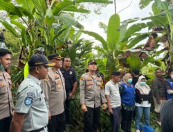 Kapolres Lahat memimpin langsung proses evakuasi korban kecelakaan lalu lintas yang melibatkan bus Al-Hijrah di wilayah hukum Kabupaten Lahat